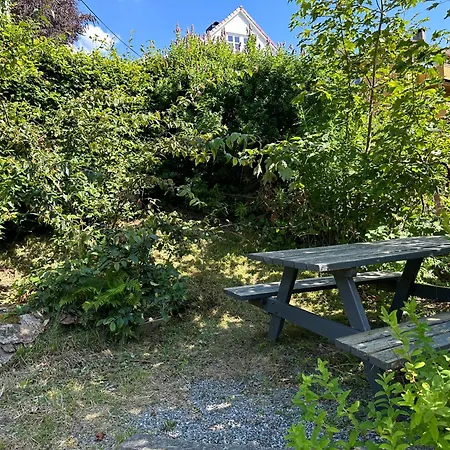 Sjarmerende Sentralt I Apartment Bergen