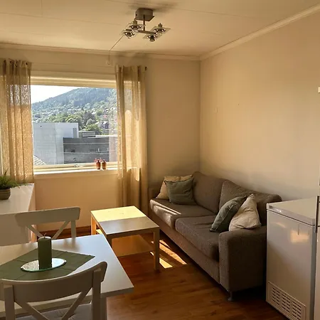 Apartment Sjarmerende Sentralt I *